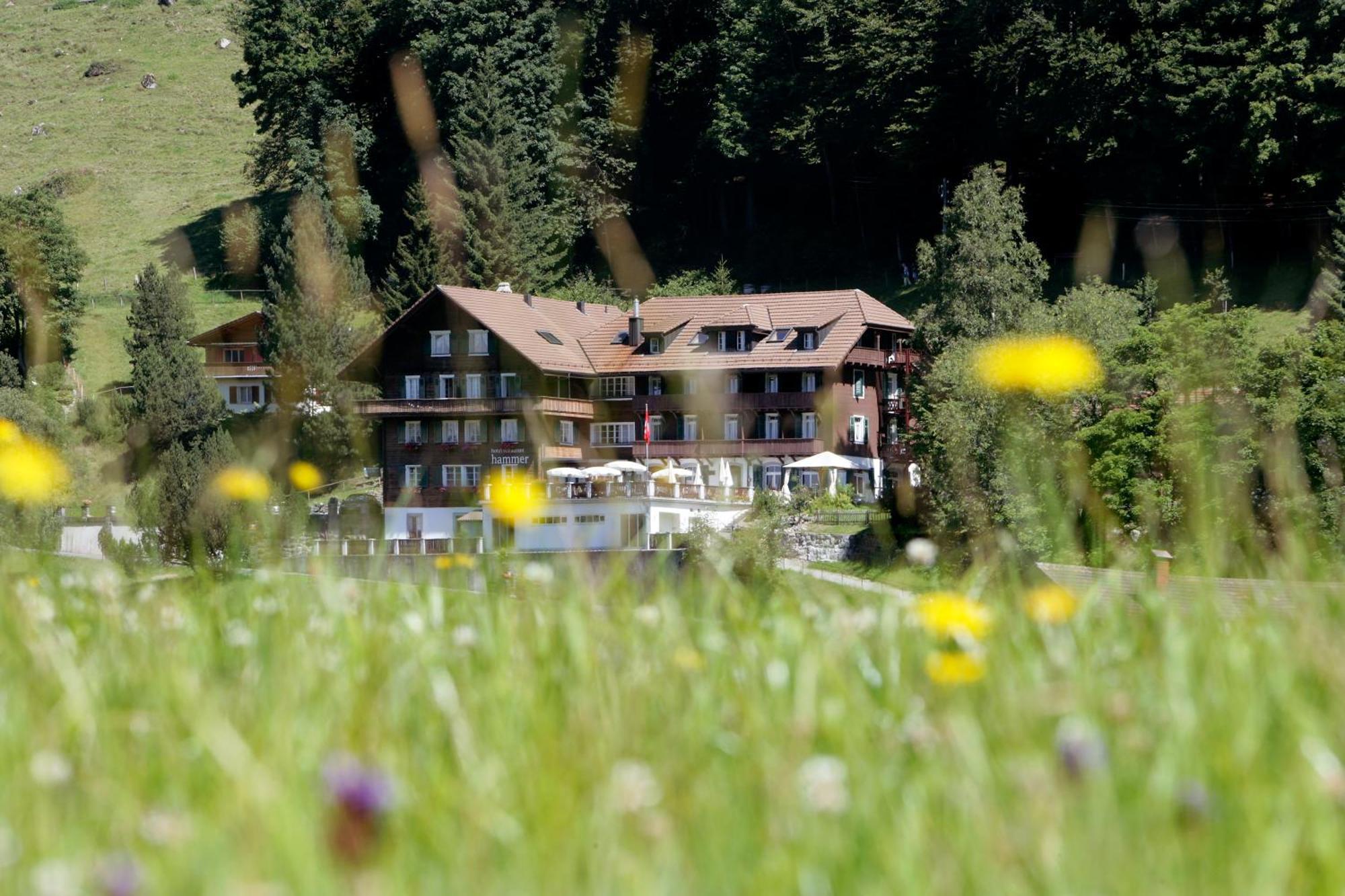 Hotel Restaurant Hammer Eigenthal Bagian luar foto